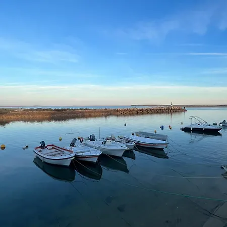 Sunshine By Ammonite&cо Lejlighed