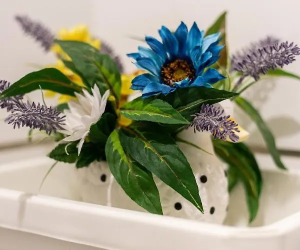 Sunshine By Ammonite&cо Апартаменты