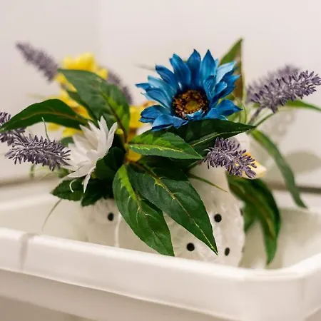 Sunshine By Ammonite&cо Apartman